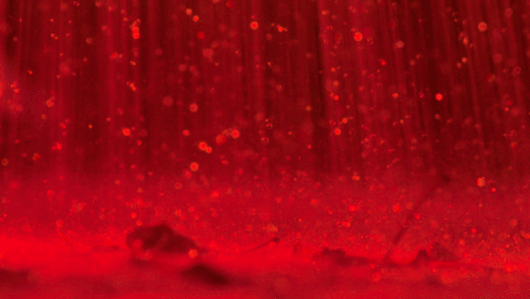 Blood-colored raindrops splashing against puddles on the ground.