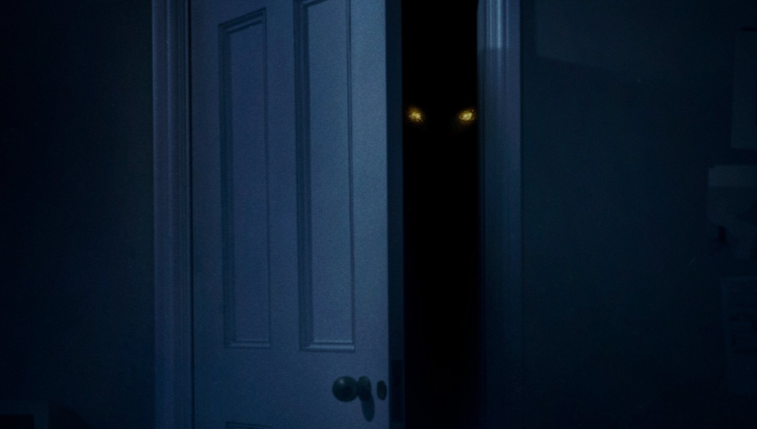 Two glowing yellow eyes peer out from the darkness of the closet