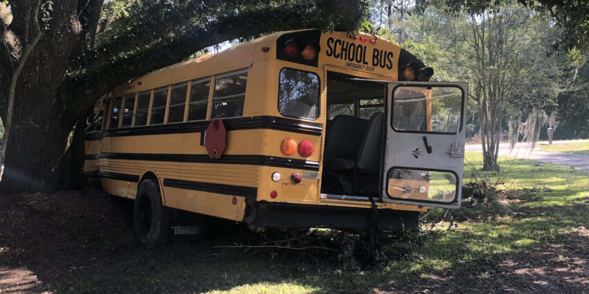 A school bus crashed into a tree, the emergency door at the back is open.